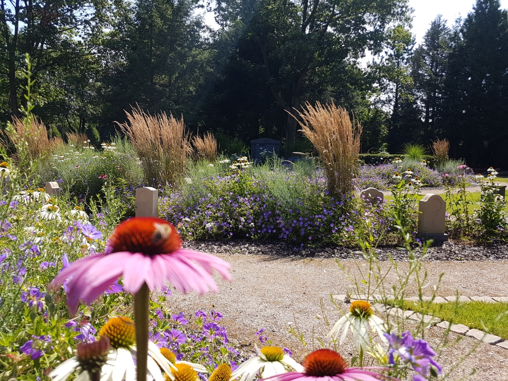 Ruhestätte Augustinusgarten Ein Garten der Erinnerung für Sankt